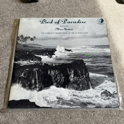 Max steiner bird - bird, paradise