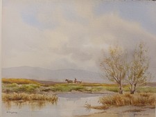 Fab Original Irish Watercolor Painting.  Hamilton Sloan. Derryveagh Donegal