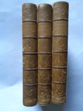 FAMILIAR WILD FLOWERS by F