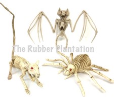3 Halloween Animal Skeleton