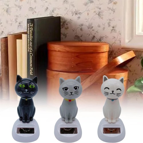 Solar power dancing - dancing, cat