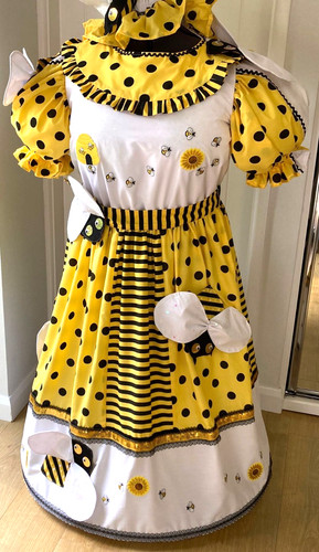 Pantomime dame costume - pantomime,
