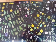 Vintage Botanical Pages