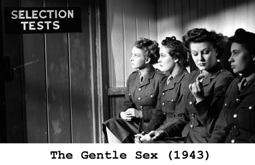 The gentle sex - the,