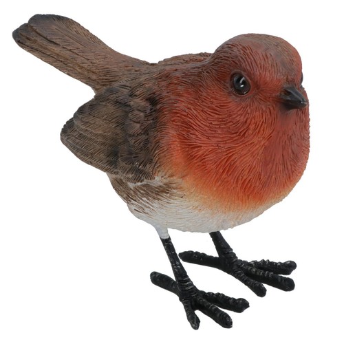 Robin red brest garden - robin,