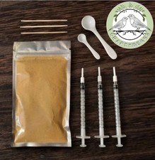 Baby bird Finch Hand feeding