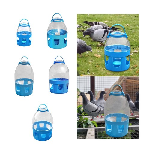 Bird water feeder - water,