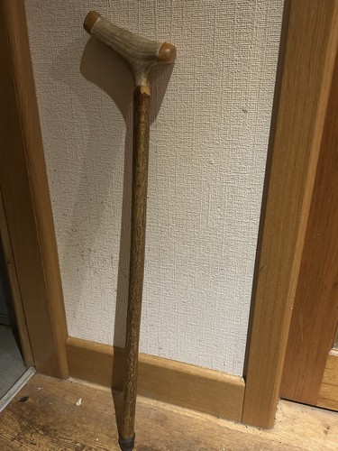 Walking stick with horn - with, handle