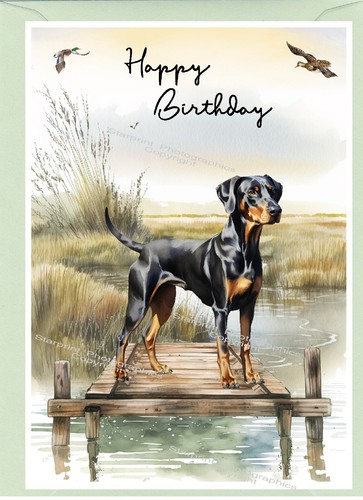 Dobermann dog birthday card - dog,