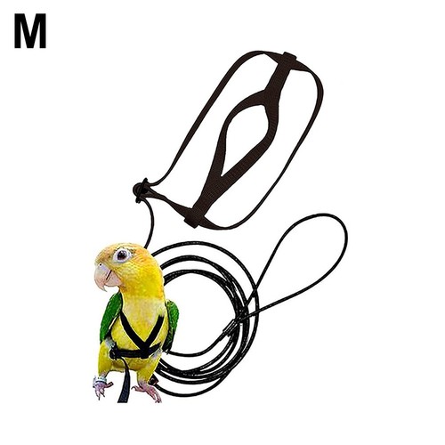 Secure and easy use parrot - easy,