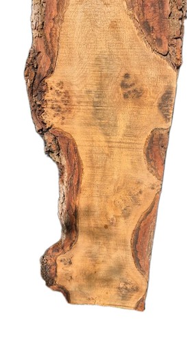 English oak live edge slab - oak,