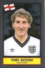 PANINI FOOTBALL SUPERSTARS