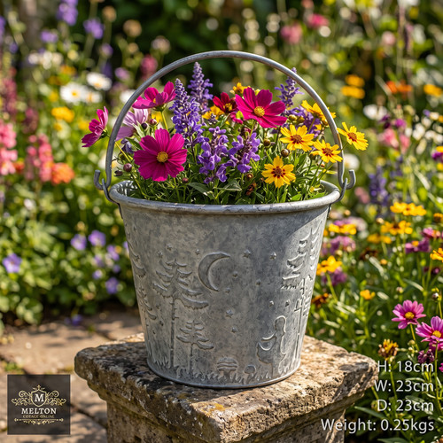 Zinc galvanised forest garden - forest,
