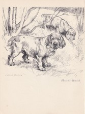 1938 CLUMBER SPANIEL DOG Print - Original Antique - Wall Art - 9.75 x 7.15 Inch