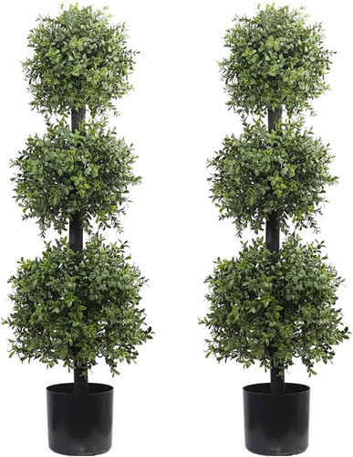 Outdoor boxwood triple - boxwood,
