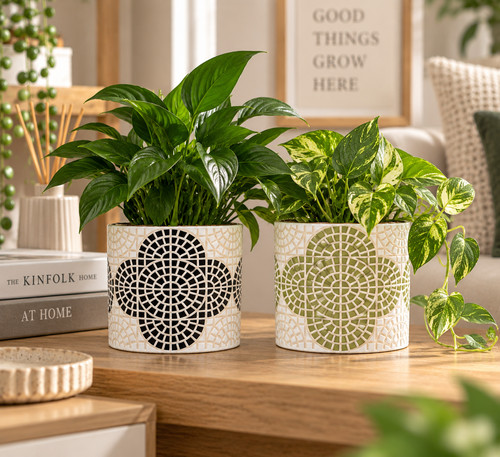 Set ceramic plant pots - of,