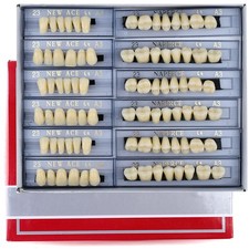 168 Pieces False Teeth Dental