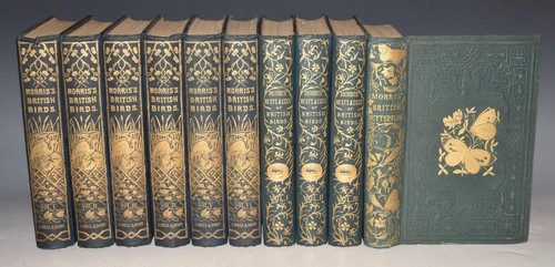 History british birds - a,