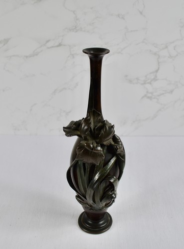 Japanese bronze iris - bronze,