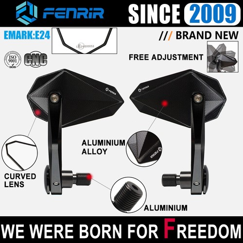 Fenrir emark motorcycle - emark, end