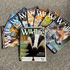 BBC Wildlife Magazines Bundle