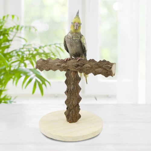 Parrot play stand - parrot,