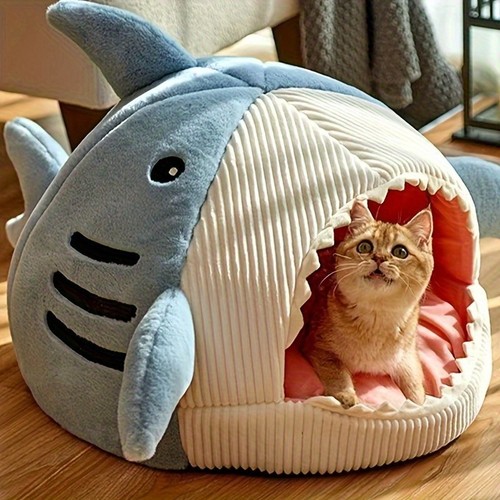 Shark cat kitten - shark, dog