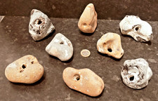 8 x Large Natural Hag Stones. Pagan/wicca/wishes/holey/lucky stones   .. 15TT