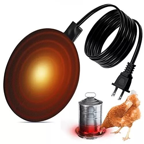 Chicken water heater for - water,