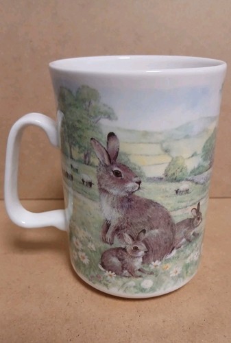 Ashley bunny rabbit fine - ashley,