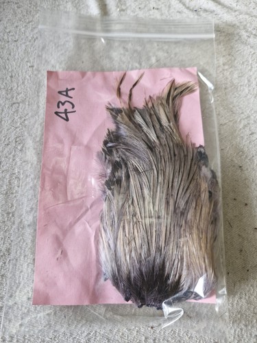 Cock cape fly tying - cape,fly,