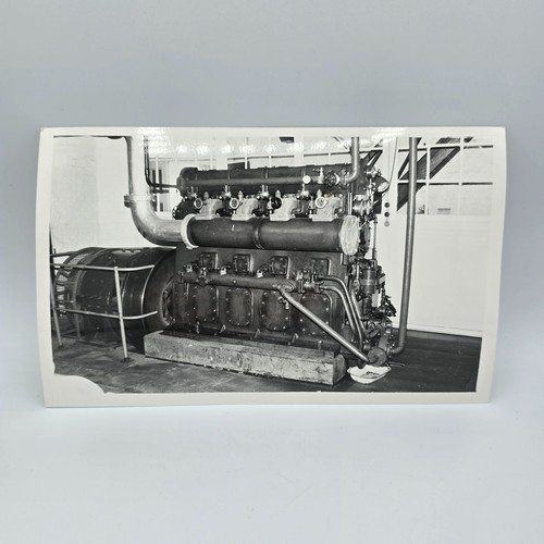 Vintage photo 1981 henley - vintage,