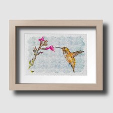 Humming Bird Wildlife Watercolour Sketch Wall Art Print Gift Unframed Picture