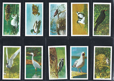 Brooke bond british birds - -,