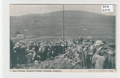 Angram yorkshire sod - angram,