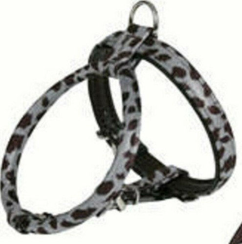 Dog harness animal spot - animal,