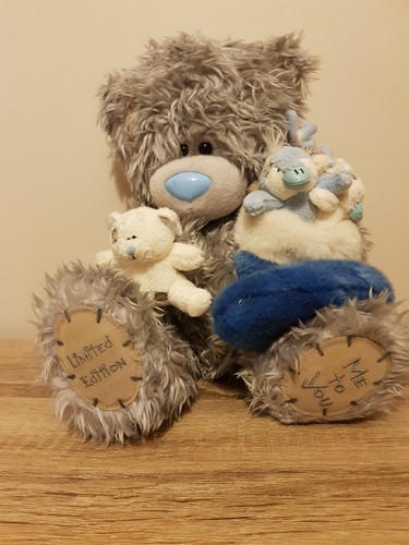 You bear blue nose - to,