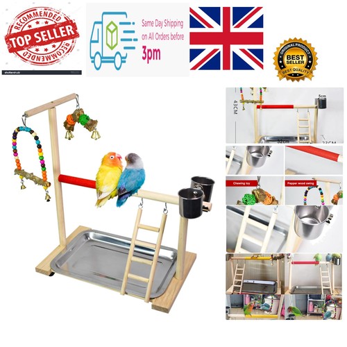 Parrot playstand bird - playstand,