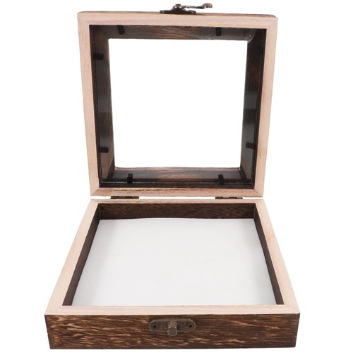 Butterfly display case - butterfly,