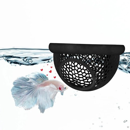 1pc floating betta - 1pc, fish