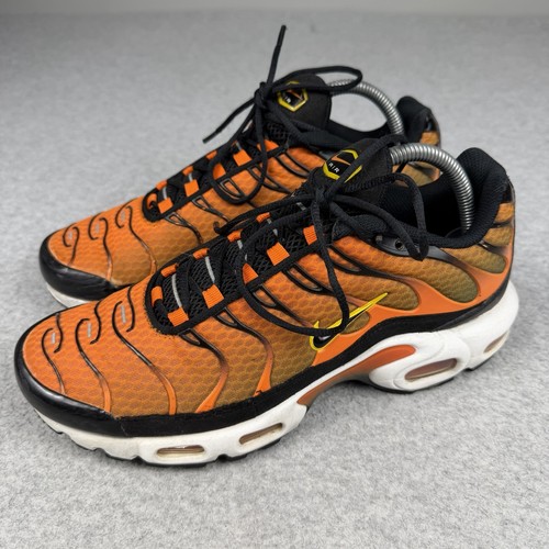 Nike air max plus - nike, safety