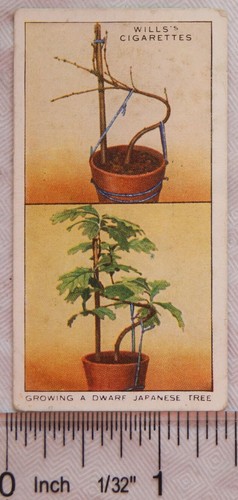 1938 wills garden hints 50 - wills, no.