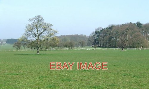 Photo grazing land hilton - photo,