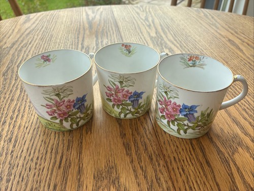 Three beautiful shelley - three,