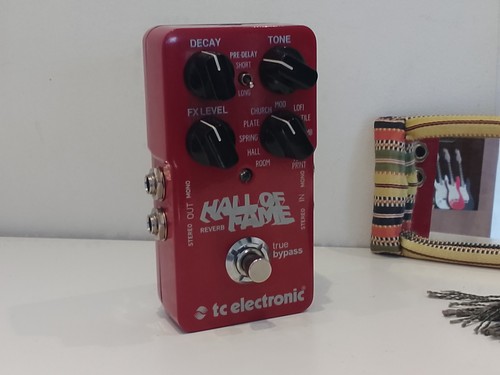 Electronic hall fame - tc,
