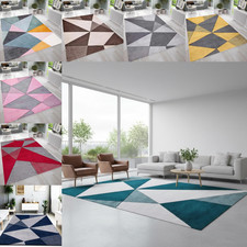 Large Area Rug Living Room