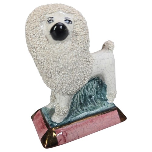 Staffordshire poodle dog - poodle,