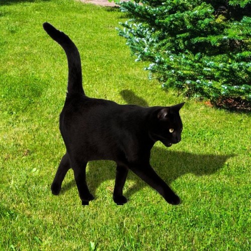 Black cat garden stake - black,
