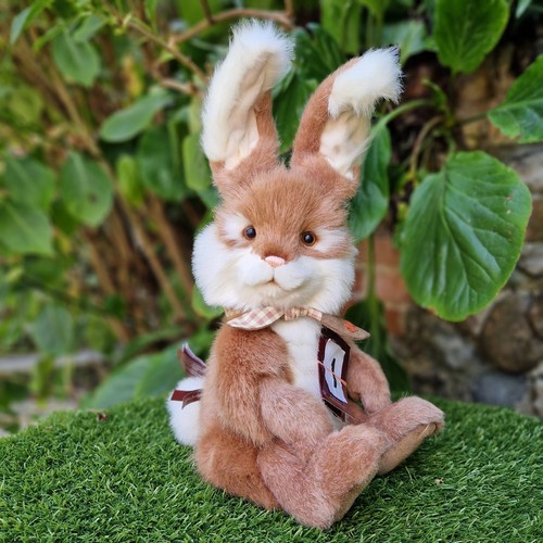 Charlie bears apple blossom - charlie,