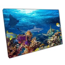 Coral Reef Ocean Wall Art